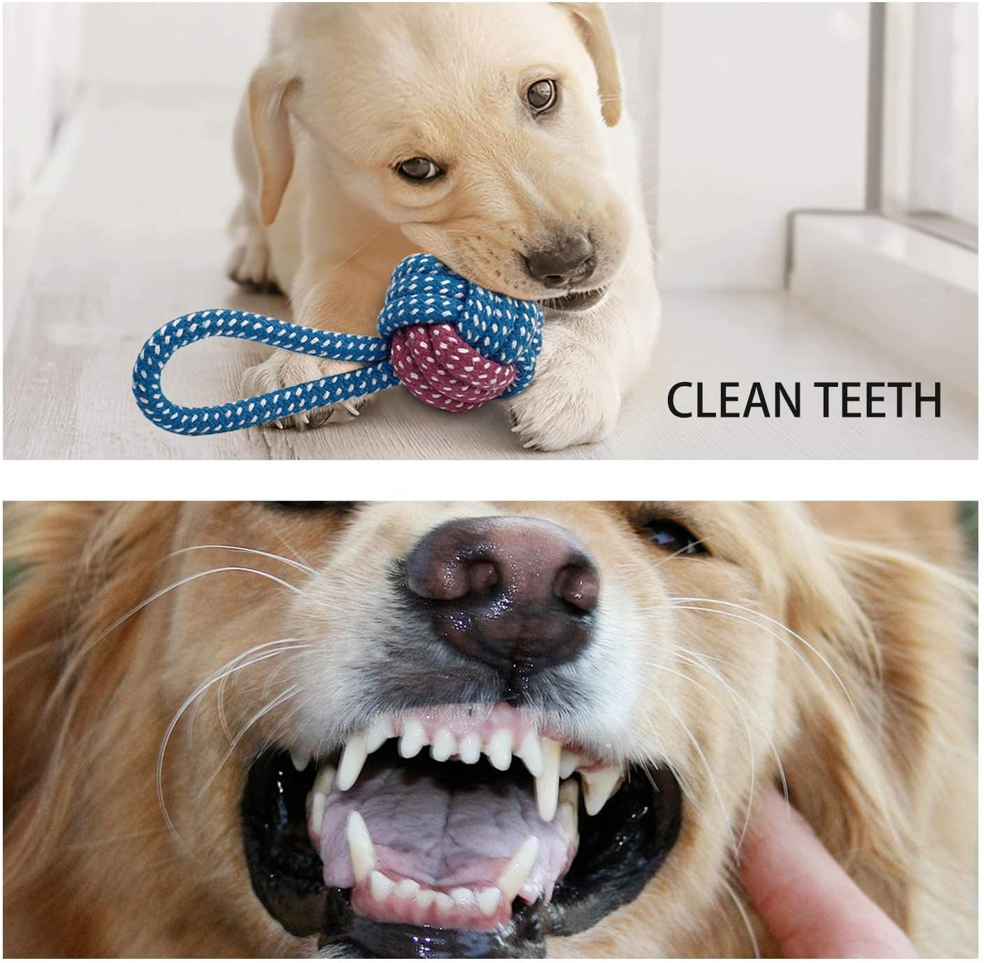 7-Pack Puppy Toys – Durable Chew & Rope Toys with Squeaky Plush for Small Dogs