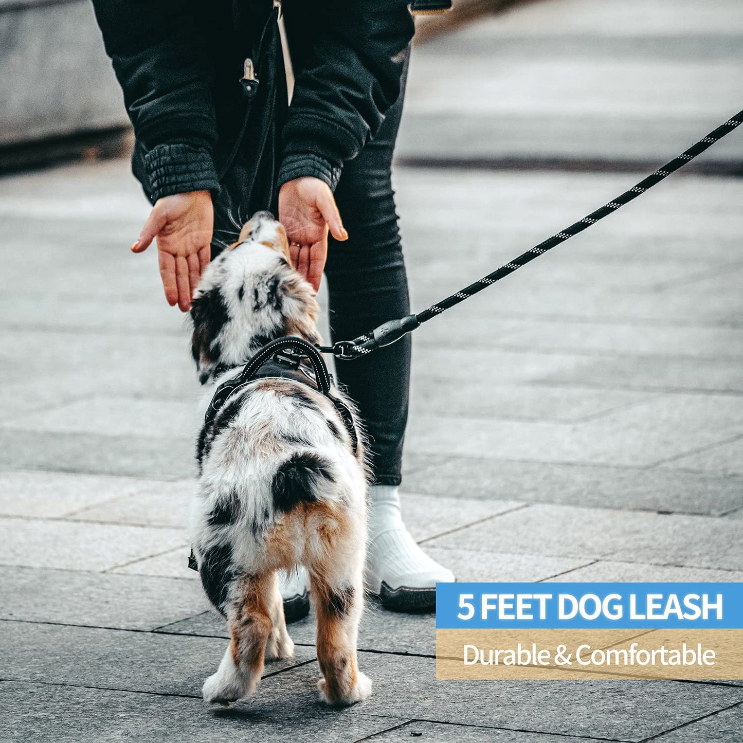 Reflective Dog Leash – 5FT Heavy Duty Rope Lead with Padded Handle | Durable & Safe for Night Walks