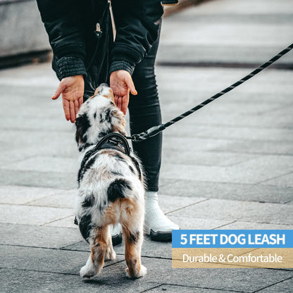 Reflective Dog Leash – 5FT Heavy Duty Rope Lead with Padded Handle | Durable & Safe for Night Walks