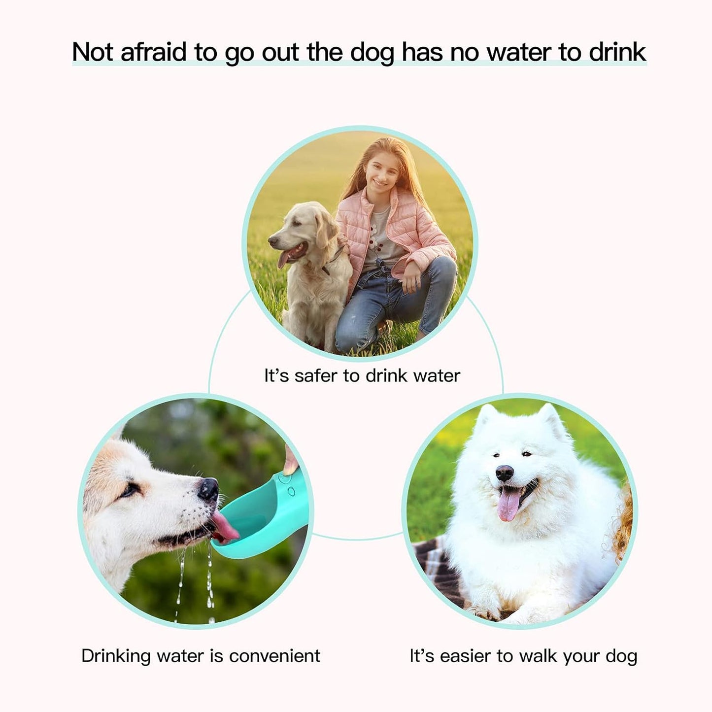 Portable Dog Water Bottle – 12oz BPA-Free Travel Dispenser with Built-In Bowl