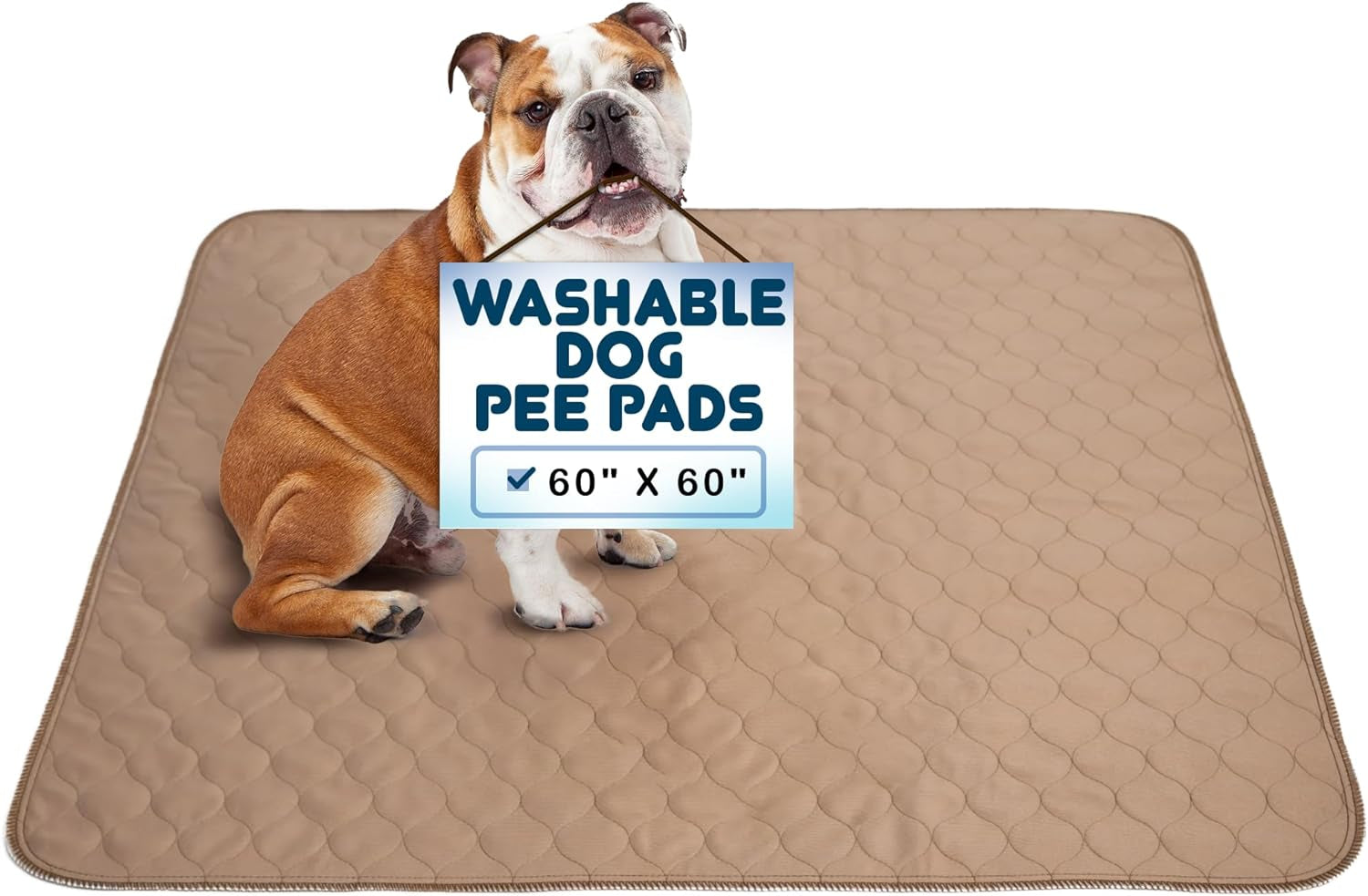 Washable Pee Pads for Dogs - Waterproof Training Pads for Dogs, Reusable & Sanitary, Rounded Corners, Laminated, Lightweight, Durable, Pet Essentials for Training and Whelping, 47" X 47"